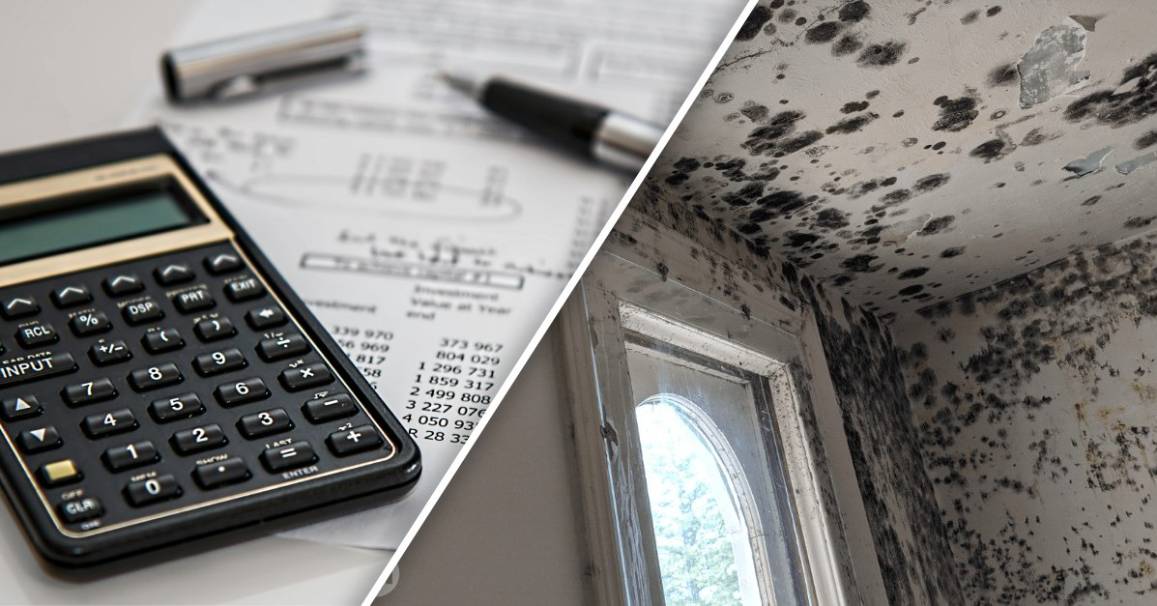 How Much Does Mold Remediation Cost in Houston?